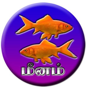12 meenam logo